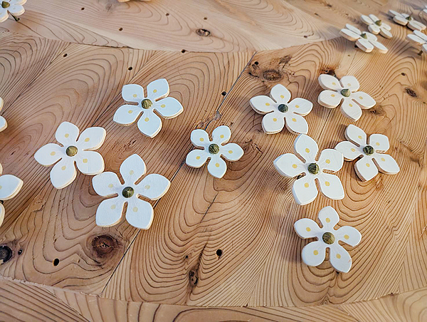 まきのさんのはなばたけ