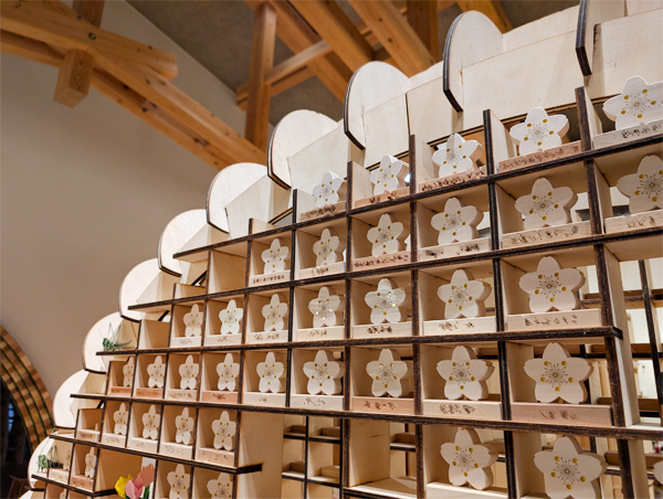 バイカオウレンつみき