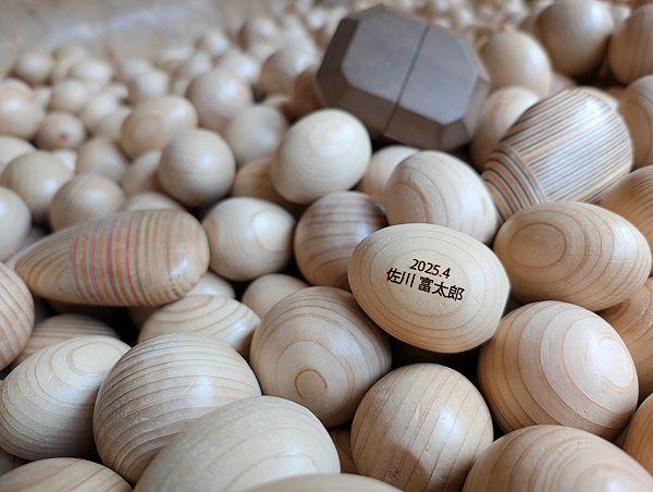 バイカオウレンつみき